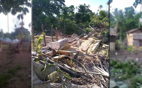 Demi Jaga Tanah Adat, Masyarakat Kongan-Benjina Siap Usir Perusak Pulau Kumareri 1 Pulau Babi Aru perdana