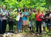 Menanam Cinta di Buri Baras: Ketika Pohon Jadi Simbol Kasih Sayang 5 Yayasan Sor Silai Tanimbar Valentine 2025