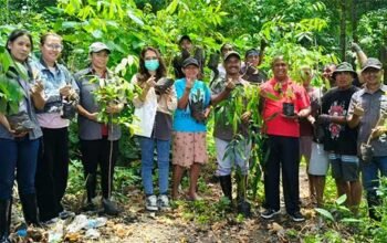 Menanam Cinta di Buri Baras: Ketika Pohon Jadi Simbol Kasih Sayang 3 Yayasan Sor Silai Tanimbar Valentine 2025