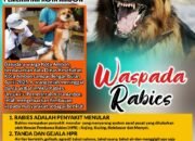 Waspada Rabies, Pemkot Ambon Keluarkan Himbauan