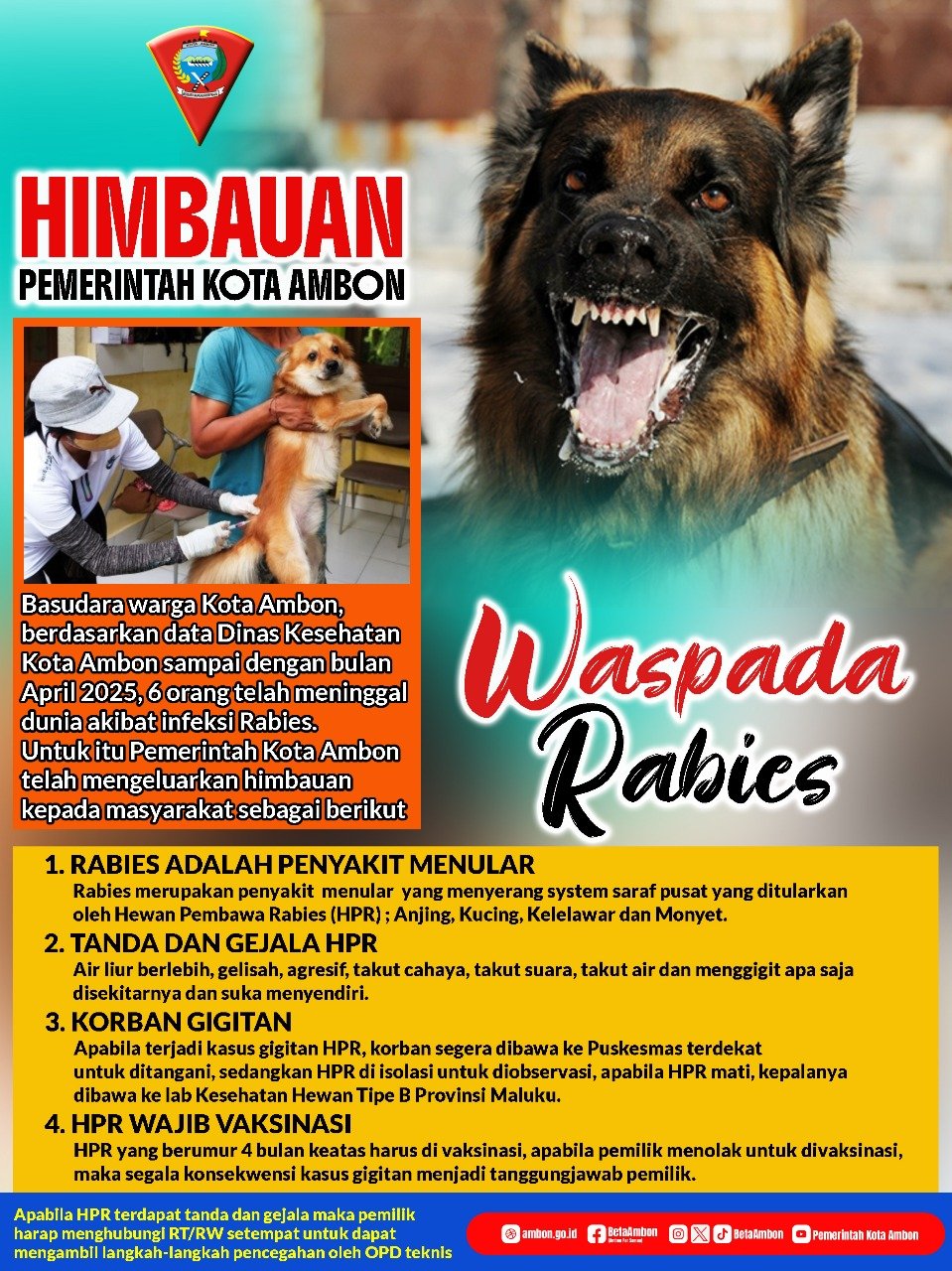 Waspada Rabies, Pemkot Ambon Keluarkan Himbauan 1 IMG 20250430 WA0109
