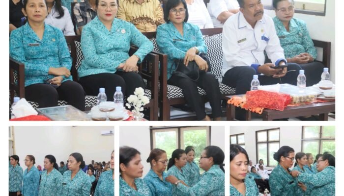 Purna Tugas, Ini Pesan Camat Leitisel Ke Tim Pembina Posyandu Yang Baru Dikukuhkan