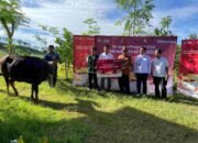 Telkomsel Bagikan Hewan Qurban ke Lebih dari 600 Titik Prioritas di Indonesia