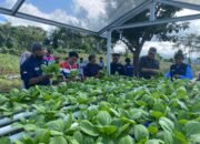 Wayame Hydro Bae, Inovasi Sosial CSR Pertamina