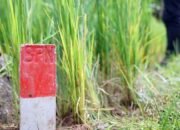 Kurangi Masalah Batas Tanah, Menteri Nusron Imbau Ini ke Masyarakat