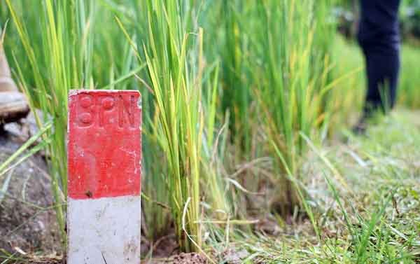 Kurangi Masalah Batas Tanah, Menteri Nusron Imbau Ini ke Masyarakat 1 BPN Rilis Patok Batas Tanah