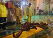 Telkom Percepat Pemulihan SKKL SMPCS#2 Ruas Sorong-Merauke pasca Gangguan SMPCS#1 Ruas Ambon-Fakfak