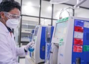 Integrated Terminal Wayame, Denyut Nadi Distribusi Energi di Indonesia Timur