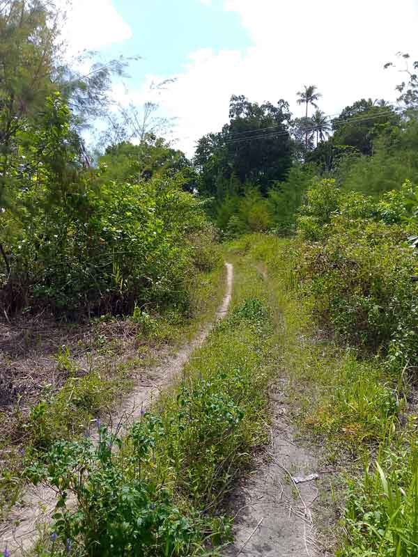 Kejati Maluku Diminta Ungkap, Ini Daftar Proyek Mangkrak Puluhan Miliar di Aru 2 Jalan Lingkar Pulau Wamar Mangkrak