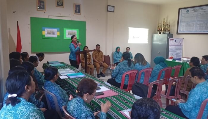 Lomba 10 Program Pokok PKK Tingkat Kota Ambon, Ini 5 Tim Yang Dinilai