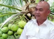 Kelapa Jadi Primadona, Bupati Aru Siap Lakukan Terobosan Datangkan Investor 10 Bupati Timo Kaidel Kelapa2