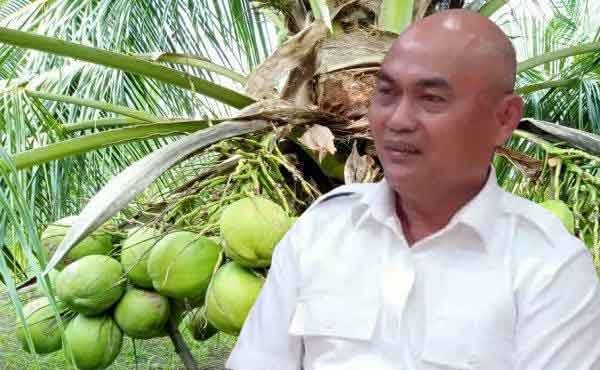 Bupati Timo Kaidel Kelapa2