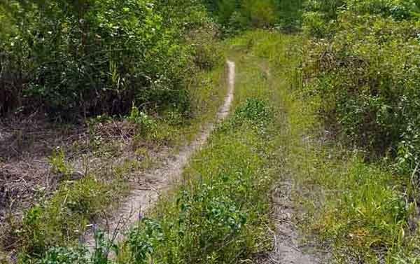 Jalan Lingkar Pulau Wamar 2