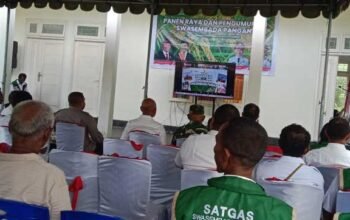 Bupati Aru Panen Raya Virtual