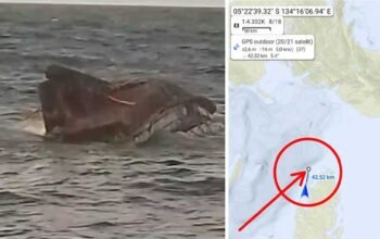 KM Indo Perkasa 03 Tenggelam di Perairan Dobo: 9 Selamat, 7 Dalam Pencarian