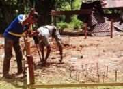 Satgas TMMD 127 Kebut Pengerjaan RLH Sasaran 3 di KM 8 Durjela 8 Satgas TMMD 127 Bangun RLH di Sasarn 3 Km8 Durjela