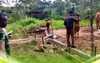 Dinas Perkim Aru Tinjau Langsung Progres TMMD 127 di Siwalima 2 Satgas TMMD 127 Dinas Perkim Aru Tinjau