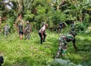 TMMD 127 Siwalima Pembersihan Lahan