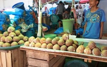 Penjualan Kepala Parut di Pasar Mardika Masih Sepi, Begini Pengakuan Pedagang 2 Pedagang Kelapa Parut Pasar Mardika Ambon