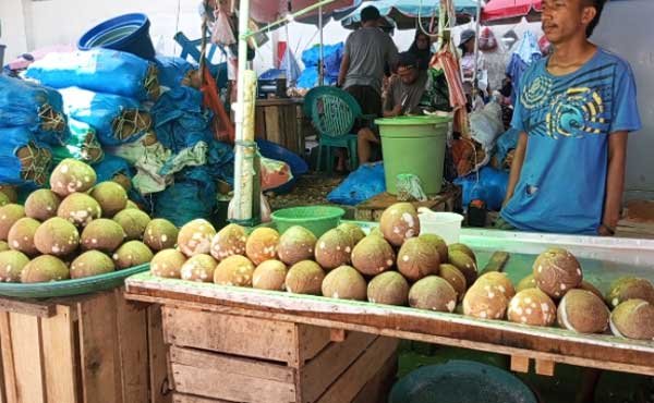 Penjualan Kelapa Parut di Pasar Mardika Masih Sepi, Begini Pengakuan Pedagang