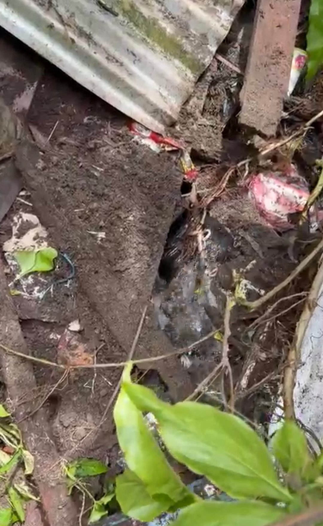 Screenshot 20260303 162507