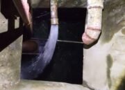 IMG 20260429 102418 688