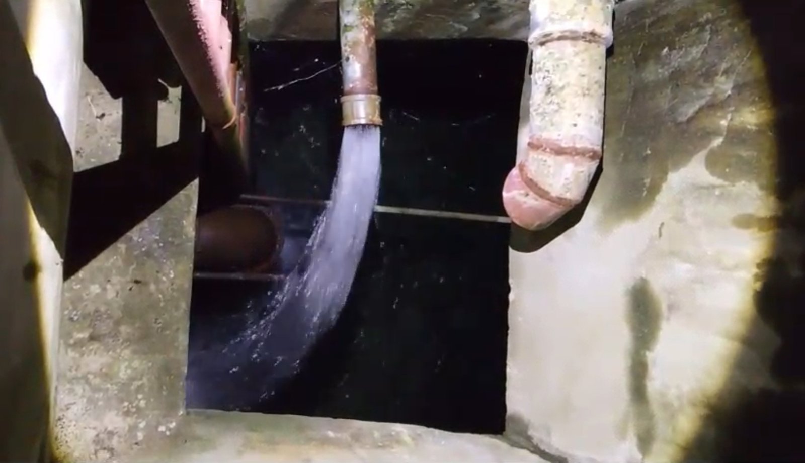 IMG 20260429 102418 688