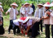 IMG 20260525 WA0025