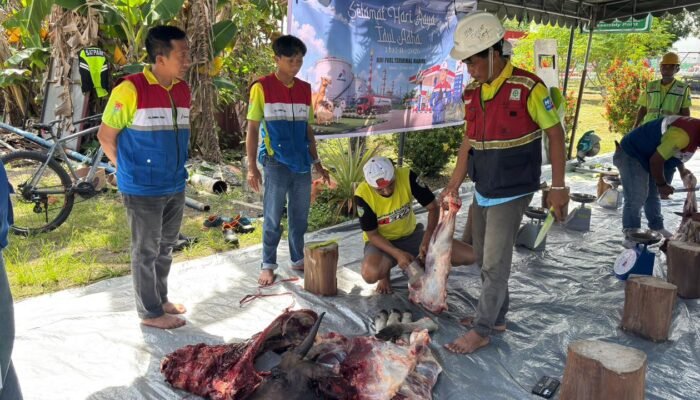 Pertamina Patra Niaga Papua Maluku Salurkan 134 Hewan Kurban, Tebar Berkah Iduladha untuk Masyarakat