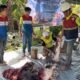 Pertamina Patra Niaga Papua Maluku Salurkan 134 Hewan Kurban, Tebar Berkah Iduladha untuk Masyarakat