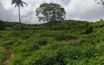 Keluarga Alfons Klaim Lahan Milik Mereka, PT Maluku Drop Core Tegas Tetap Bangun MBR