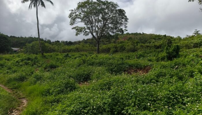Keluarga Alfons Klaim Lahan Milik Mereka, PT Maluku Drop Core Tegas Tetap Bangun MBR