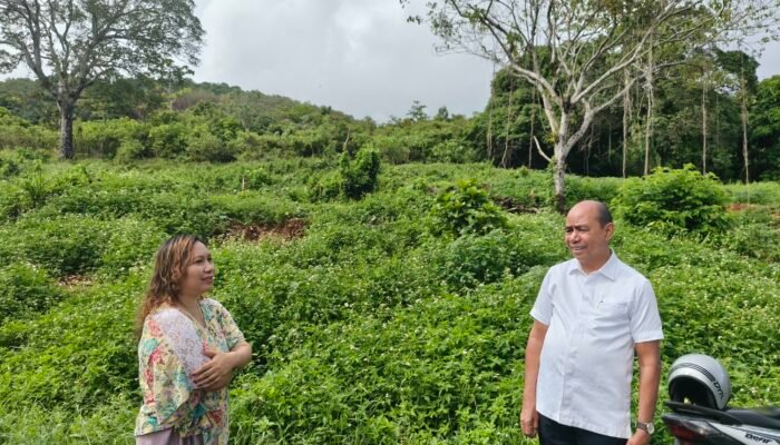Perumdam Tirta Yapono Siapkan Suplai Air Bersih untuk 300 Rumah MBR di Kuda Mati Atas