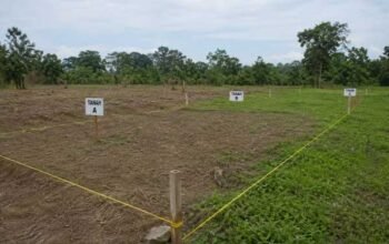 BPN Rilis Pemisahan Bidang Tanah
