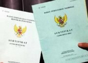BPN Rilis Syarat Pemecahan Bidang Tanah