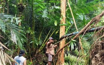 Krisis Air Bersih di Kayu Tiga, Pemkot Ambon Bergerak Cepat Kirim Tangki Air untuk Warga 2 IMG 20260703 WA0011