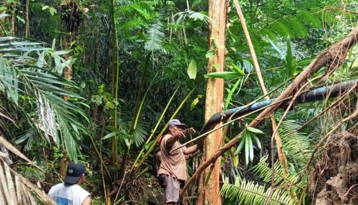 Krisis Air Bersih di Kayu Tiga, Pemkot Ambon Bergerak Cepat Kirim Tangki Air untuk Warga