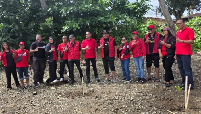 1.000 Mangrove Ditanam di Teluk Baguala, PDI Perjuangan Gaungkan Politik Hijau untuk Selamatkan Pesisir Ambon