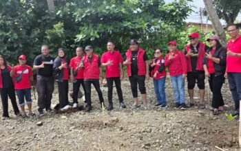 1.000 Mangrove Ditanam di Teluk Baguala, PDI Perjuangan Gaungkan Politik Hijau untuk Selamatkan Pesisir Ambon 5 PDIP Tanam 1000 Mangrove