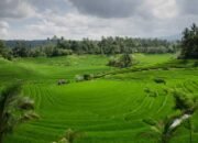 LP2B Lampaui Target, Capai 87.63% di Momen Peringatan 66 Tahun UUPA