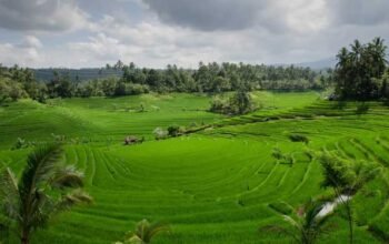 BPN Rilis LP2B Lampaui Target