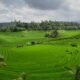 BPN Rilis LP2B Lampaui Target