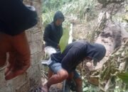 Pipa Rusak Akibat Pohon Tumbang, Distribusi Air Bersih Galala Kembali Normal