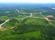 RUU Pengaturan Reforma Agraria Disiapkan Urai Kebuntuan Hukum Penyelesaian Konflik