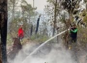 Hotspot Karhutla Maluku Masuk 8 Besar Nasional, Dishut Perkuat Penanganan 8 IMG 20261008 WA0024
