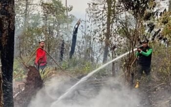 Hotspot Karhutla Maluku Masuk 8 Besar Nasional, Dishut Perkuat Penanganan 2 IMG 20261008 WA0024