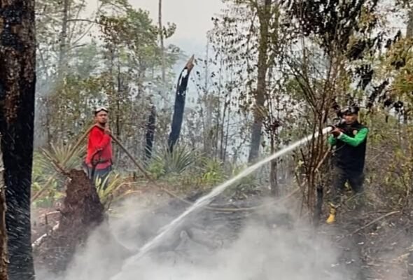 Hotspot Karhutla Maluku Masuk 8 Besar Nasional, Dishut Perkuat Penanganan