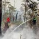 Hotspot Karhutla Maluku Masuk 8 Besar Nasional, Dishut Perkuat Penanganan