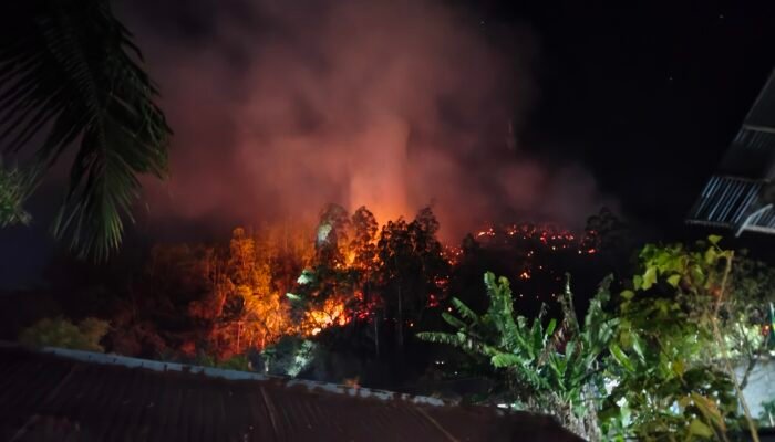 Jacoba Lekahena Pantau Karhutla Gunung Nona, Imbau Warga Stop Bakar Sampah