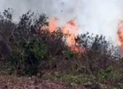 Kabut Asap Selimuti Aru, UPP Kelas lll Dobo Keluarkan Imbauan Pelayaran